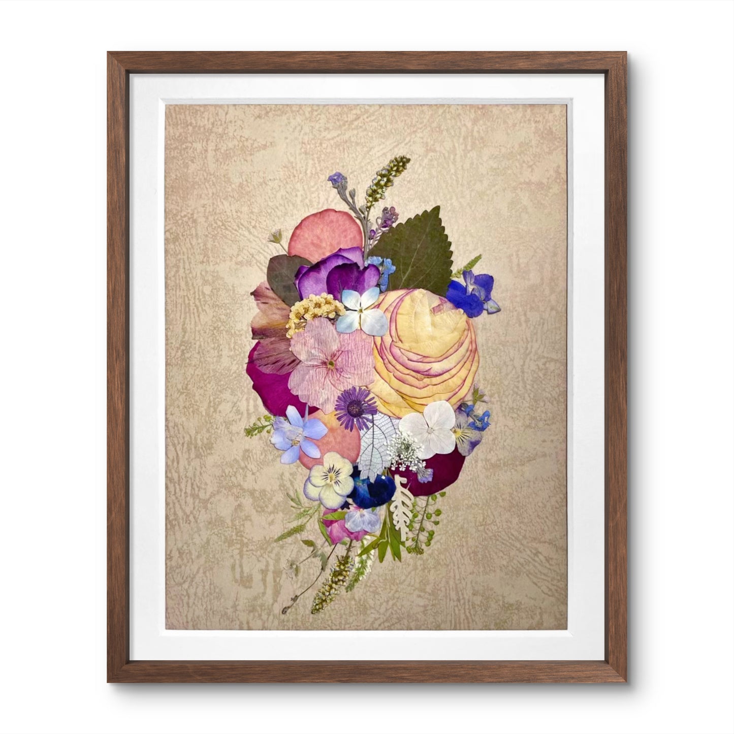 11 x 12.5 Carnation Bloom