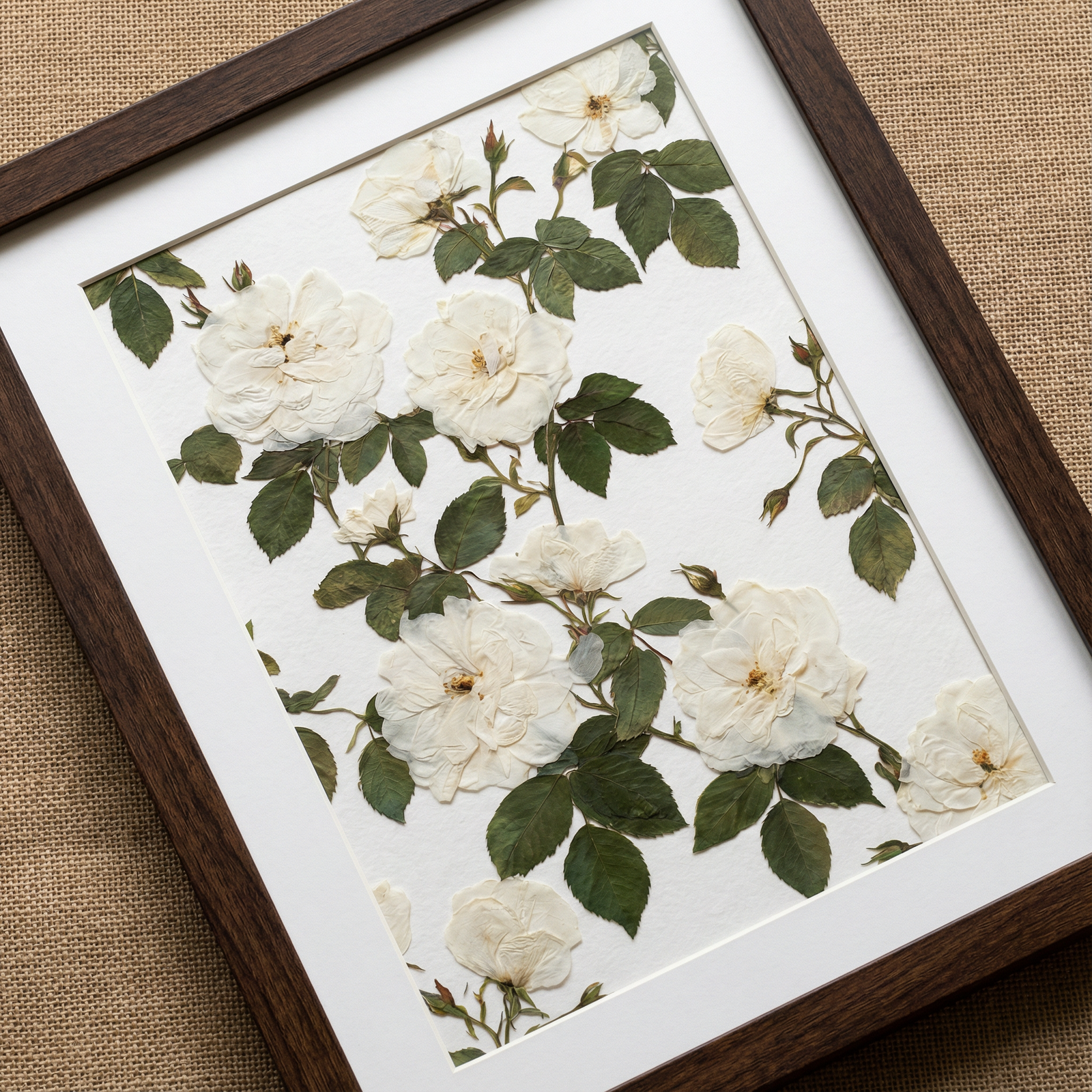 White Petal Harmony