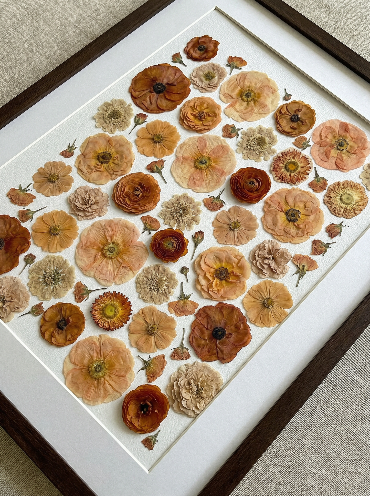 The Terracotta Collection