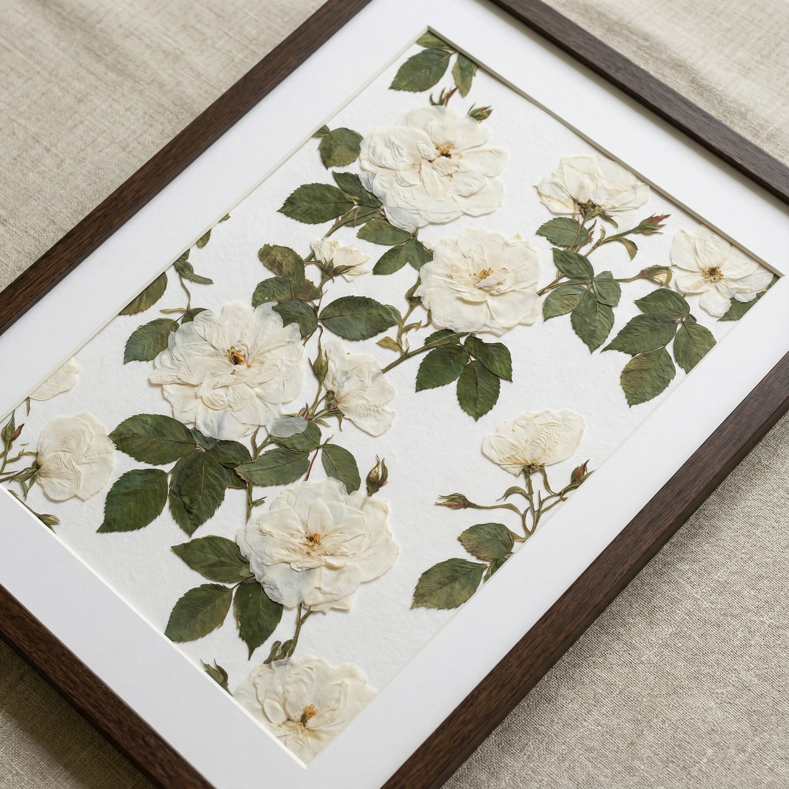 White Petal Harmony