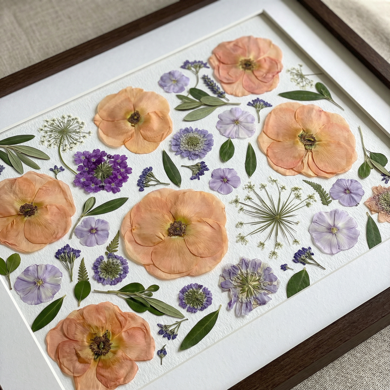 Apricot Breeze