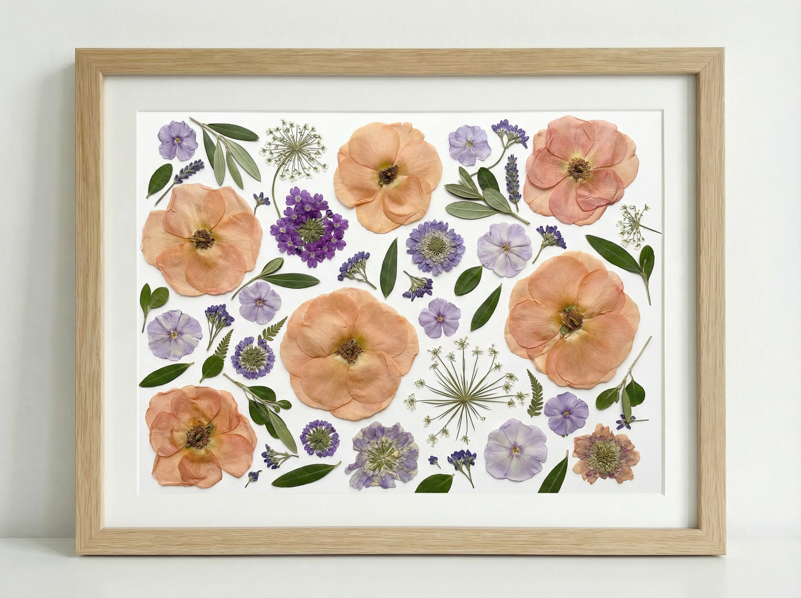 Apricot Breeze
