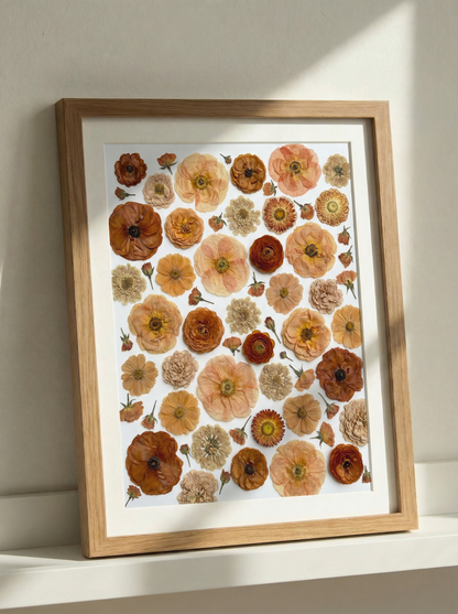 The Terracotta Collection