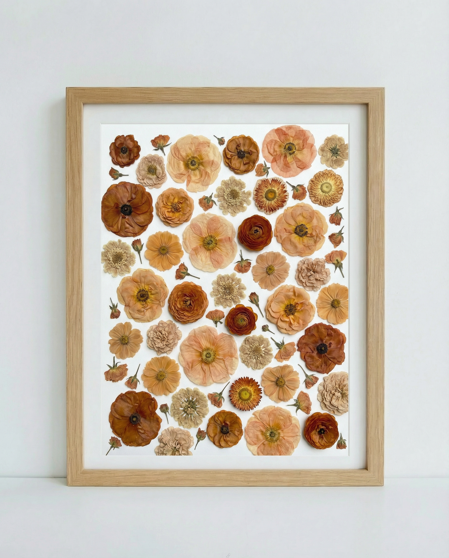 The Terracotta Collection