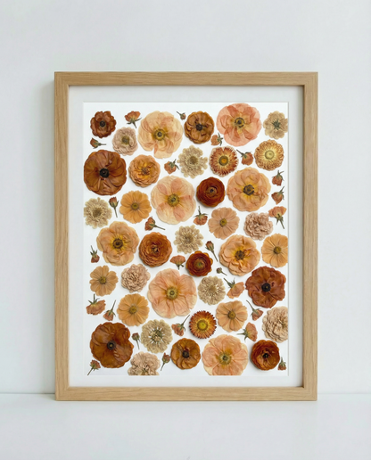 The Terracotta Collection