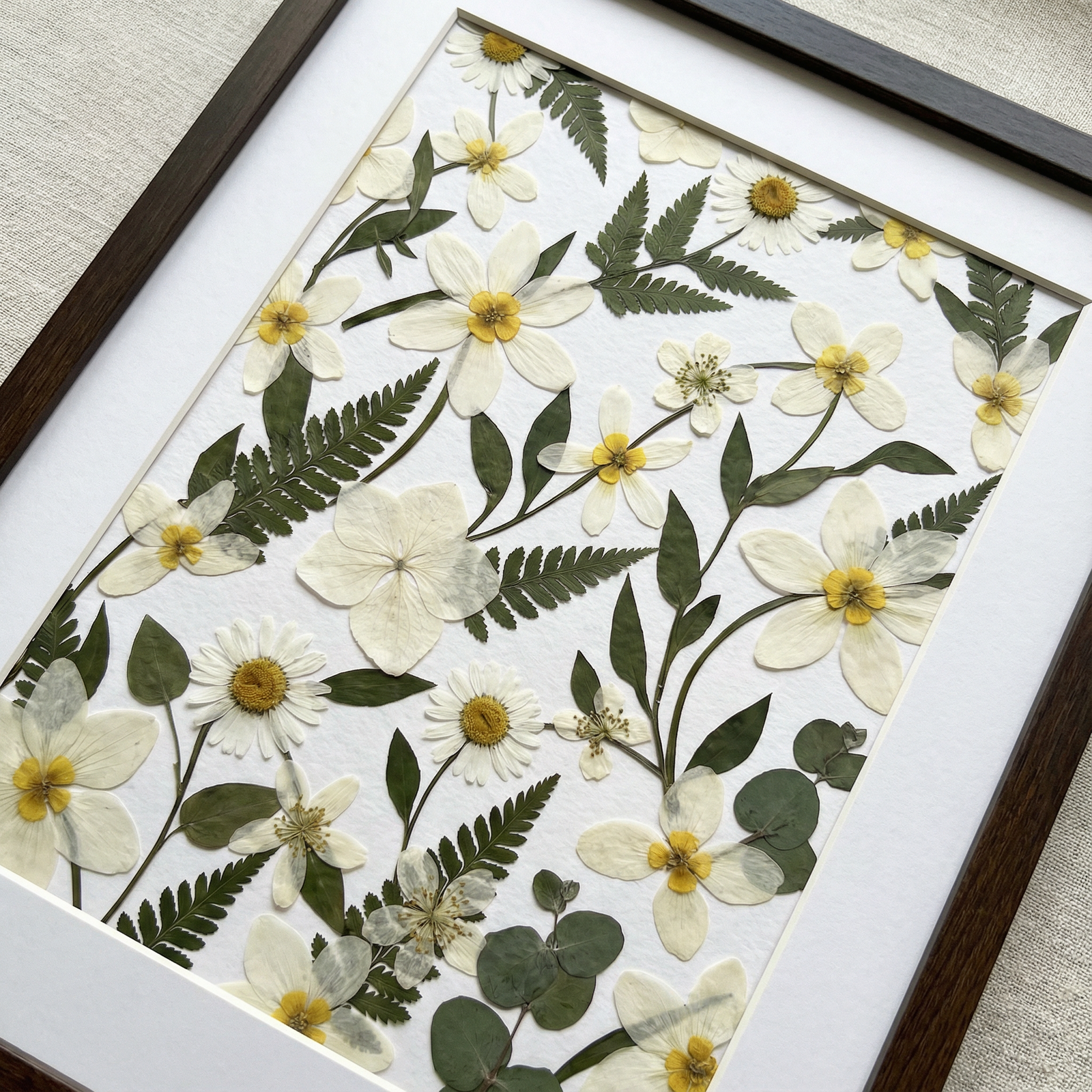 Wild Daisy Fields