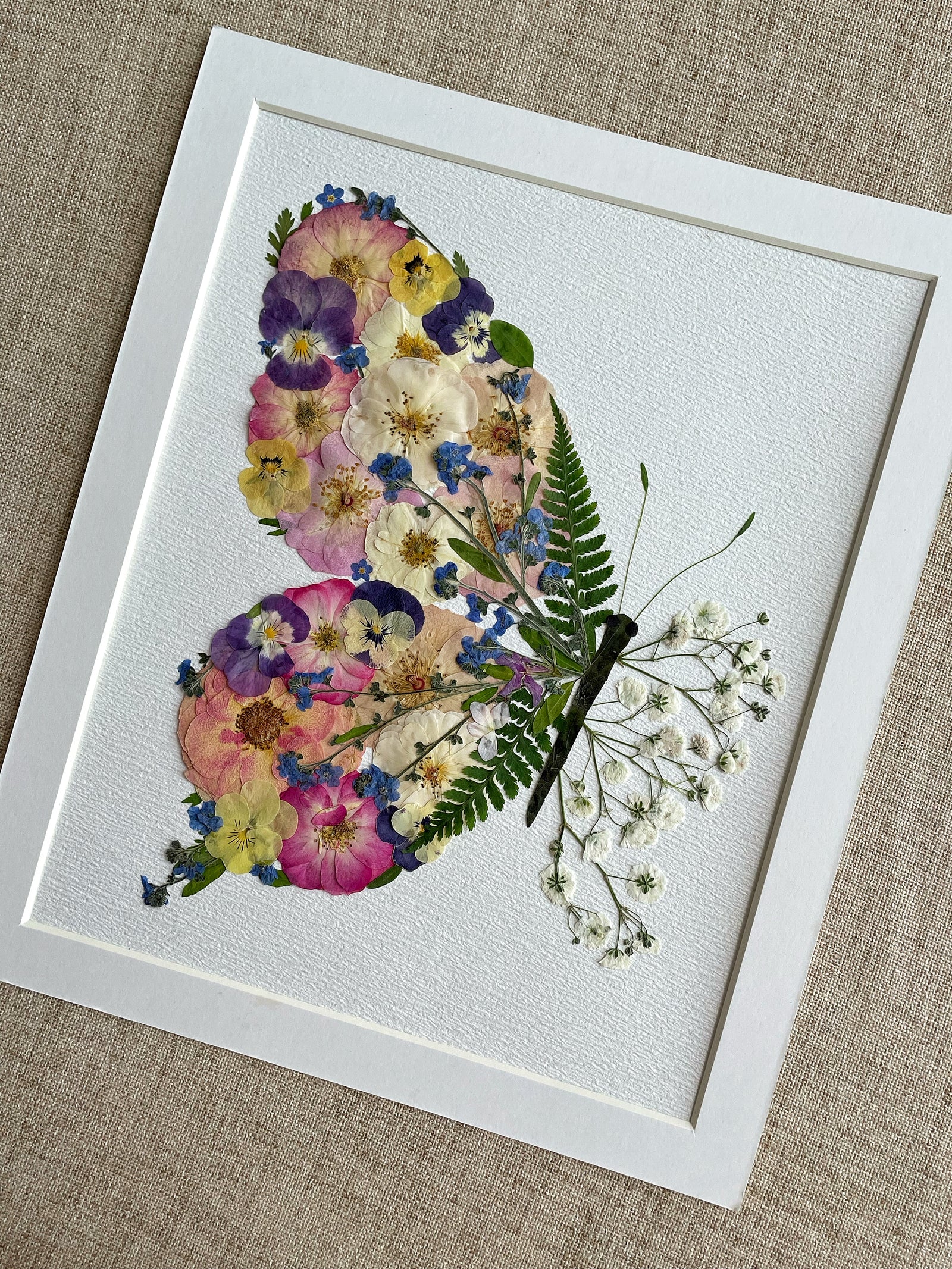 Petalwing Butterfly