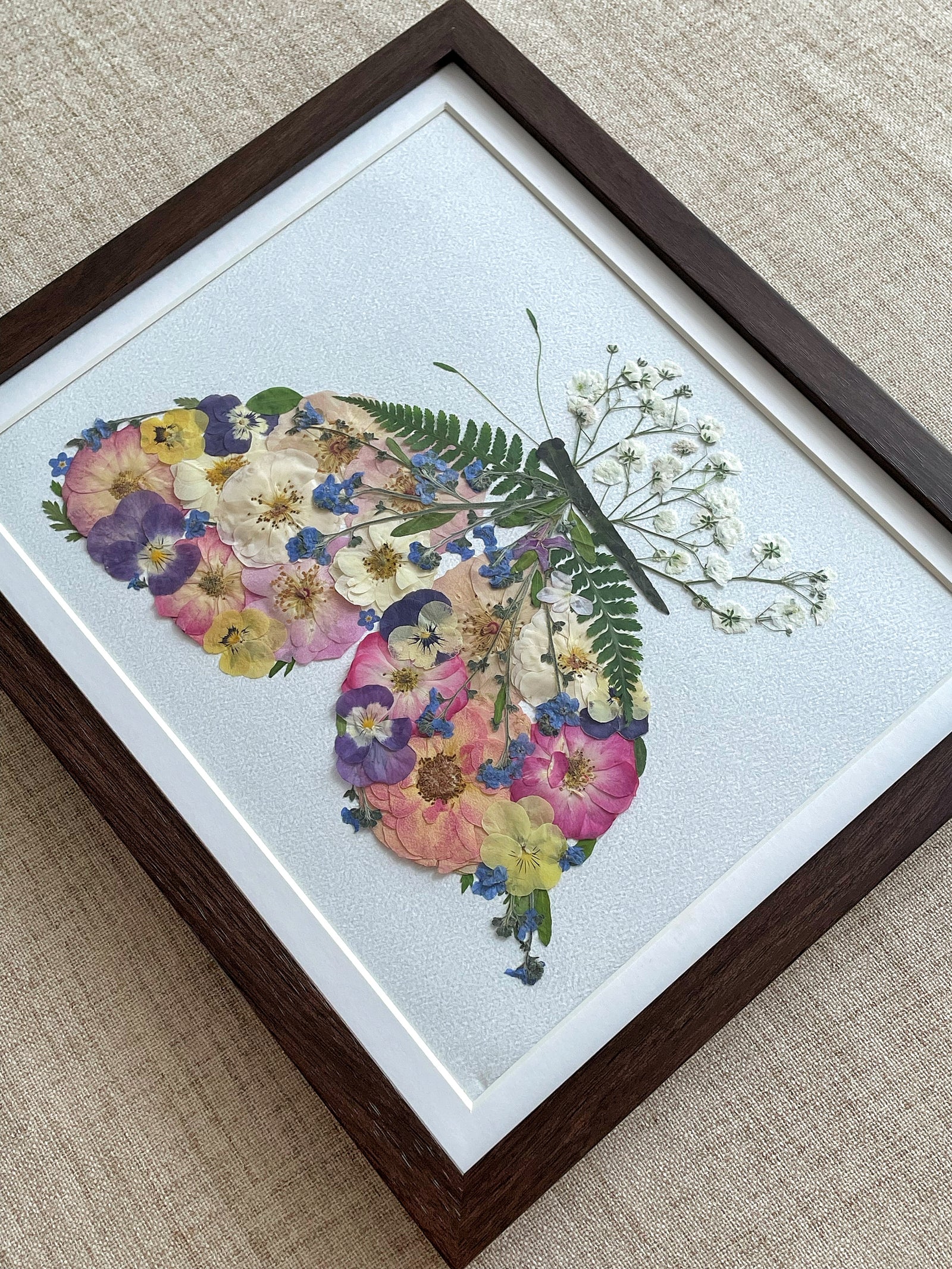 Petalwing Butterfly