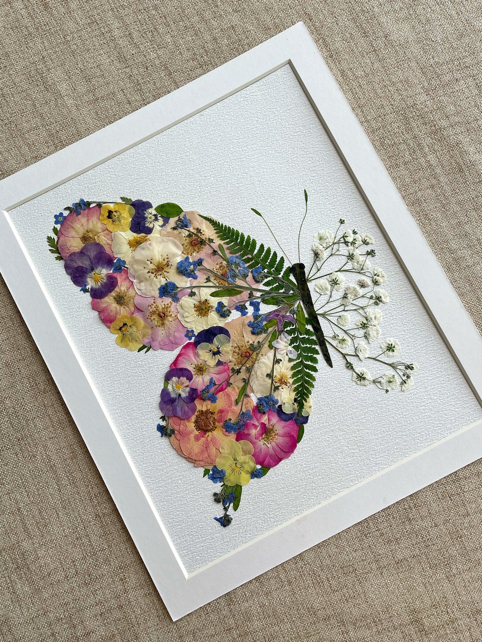 Petalwing Butterfly