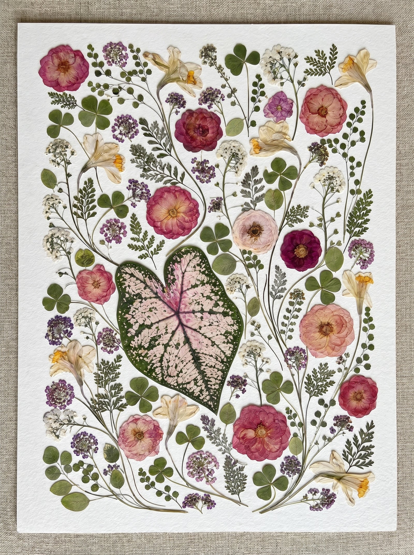 The Meadow's Heart