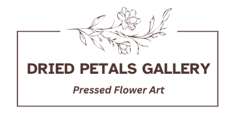 Picture Frame Size Calculator and Visualizer – Dried Petals Gallery