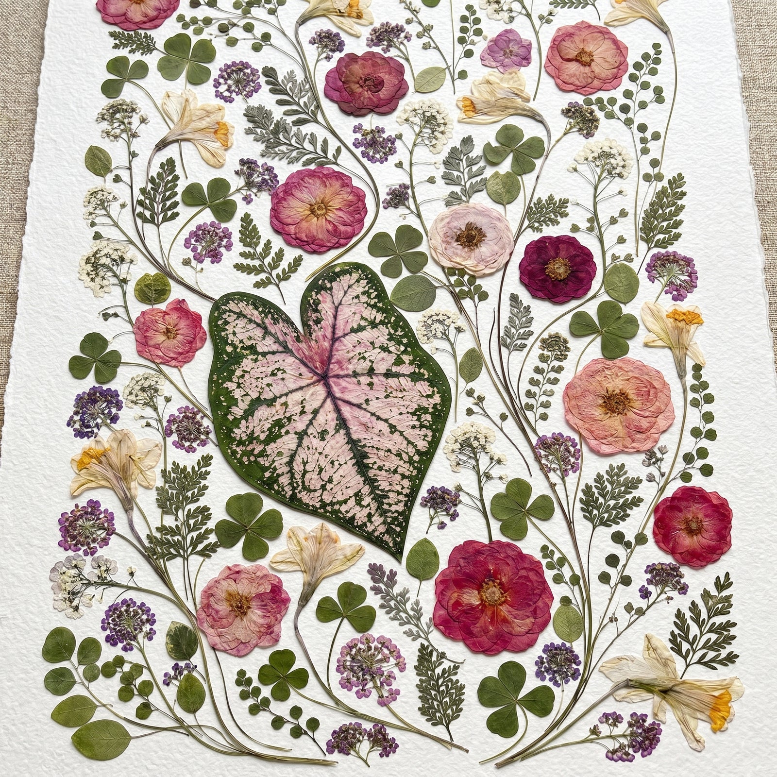 The Meadow's Heart