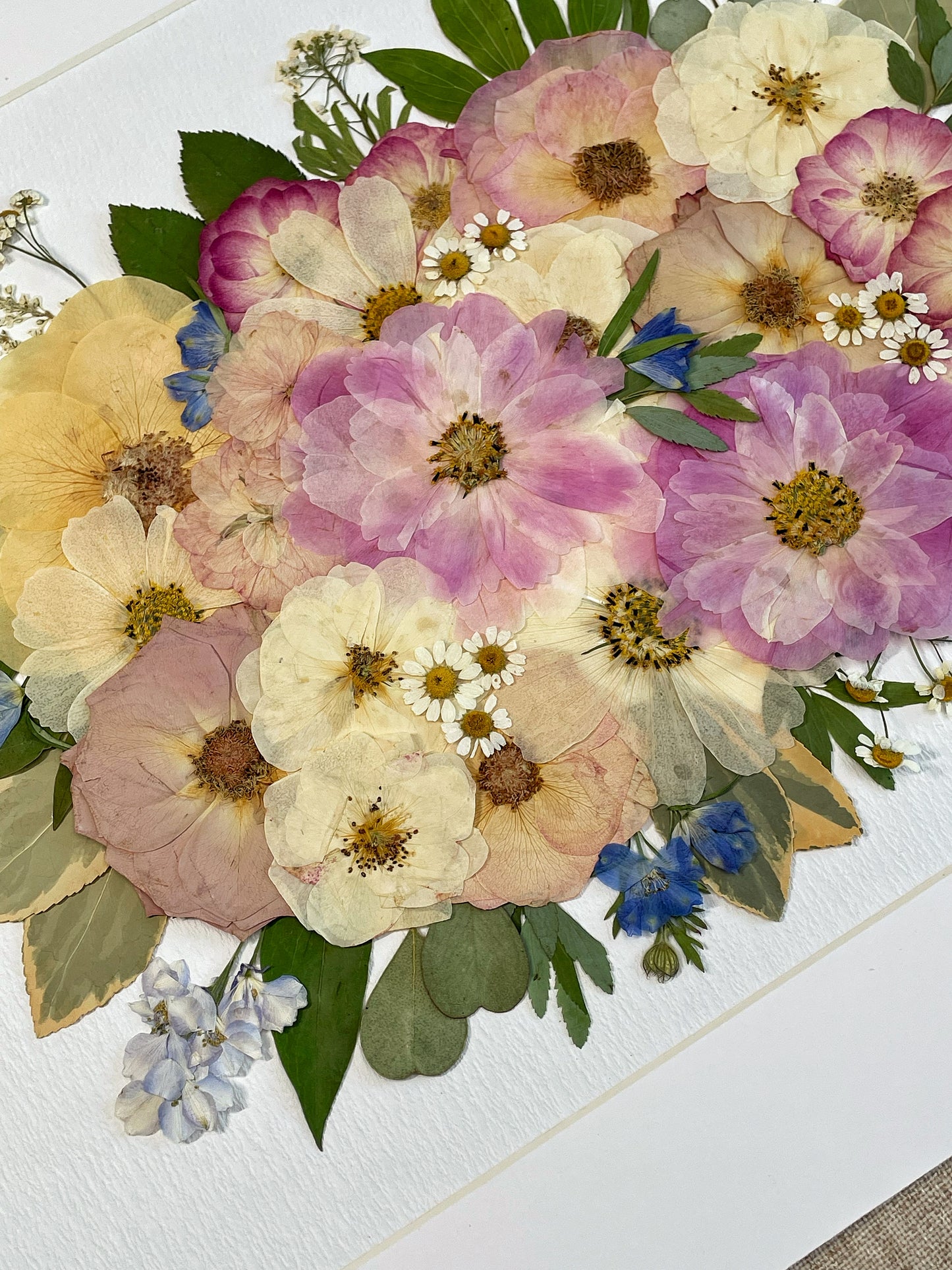 Pastel Dream Blossoms