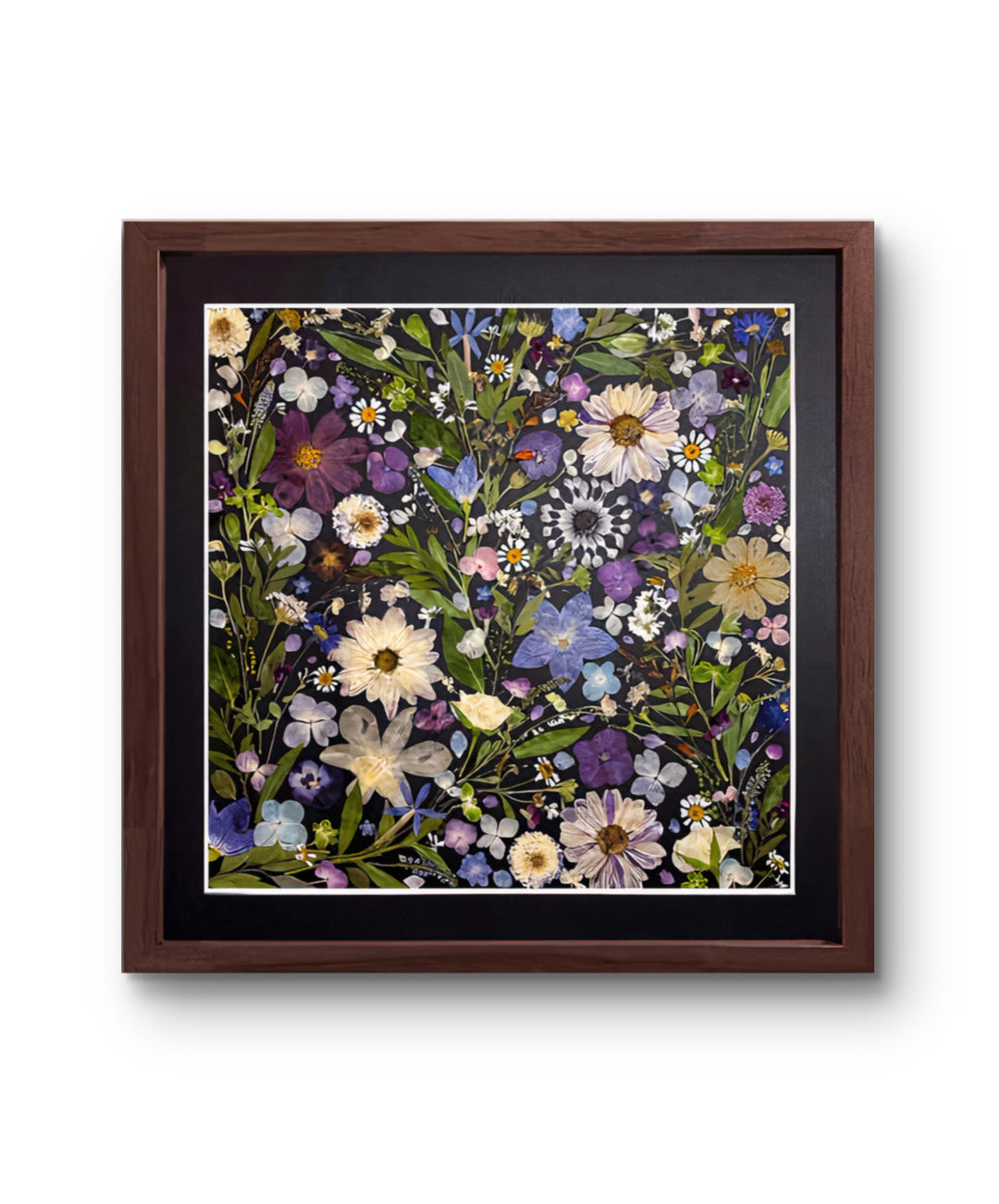 pressed flower frame art for wall decoration,, abstract style on black background  