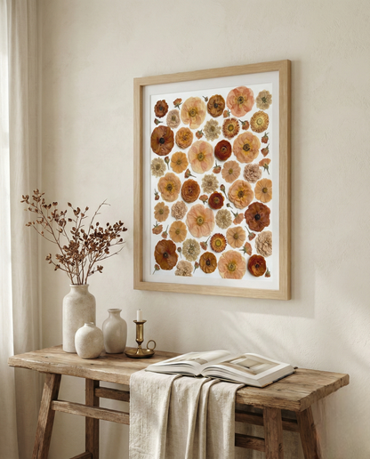 The Terracotta Collection