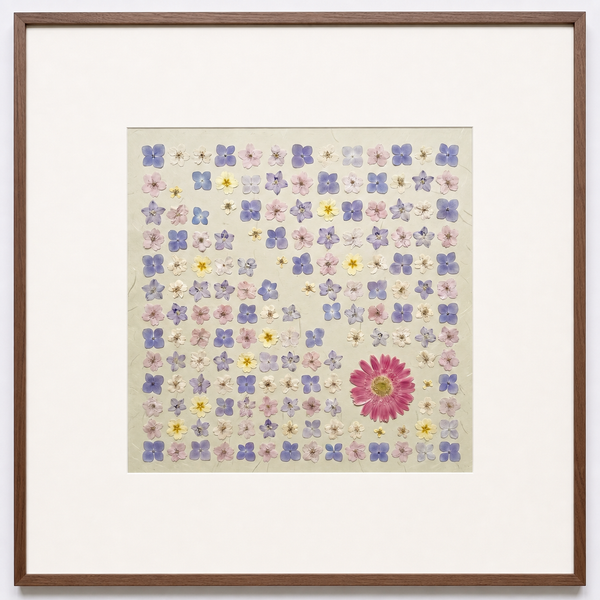 Meadow Archive