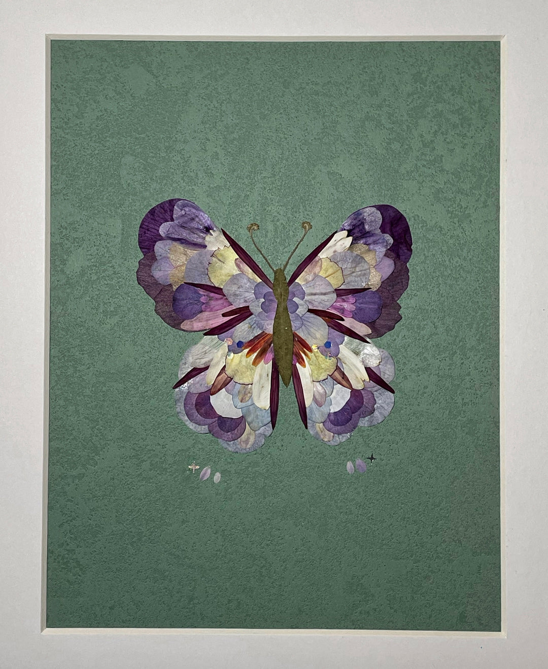 Real Flower Petals Artwork - Butterfly