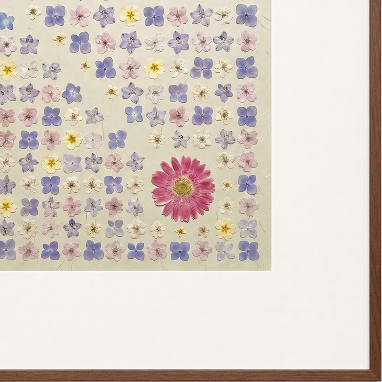 Meadow Archive
