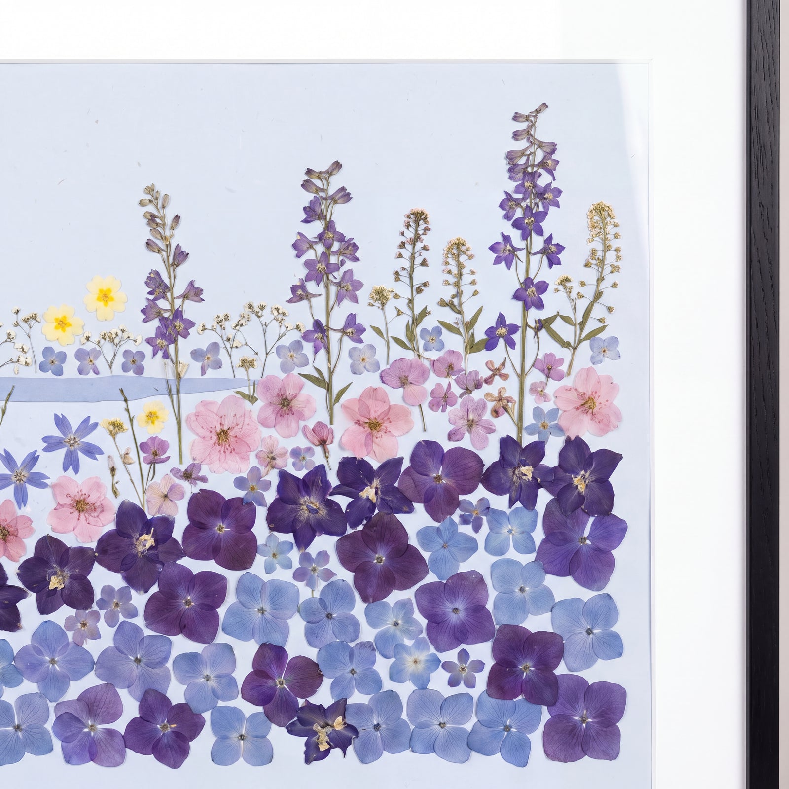 Lakeside Wildflower Meadow