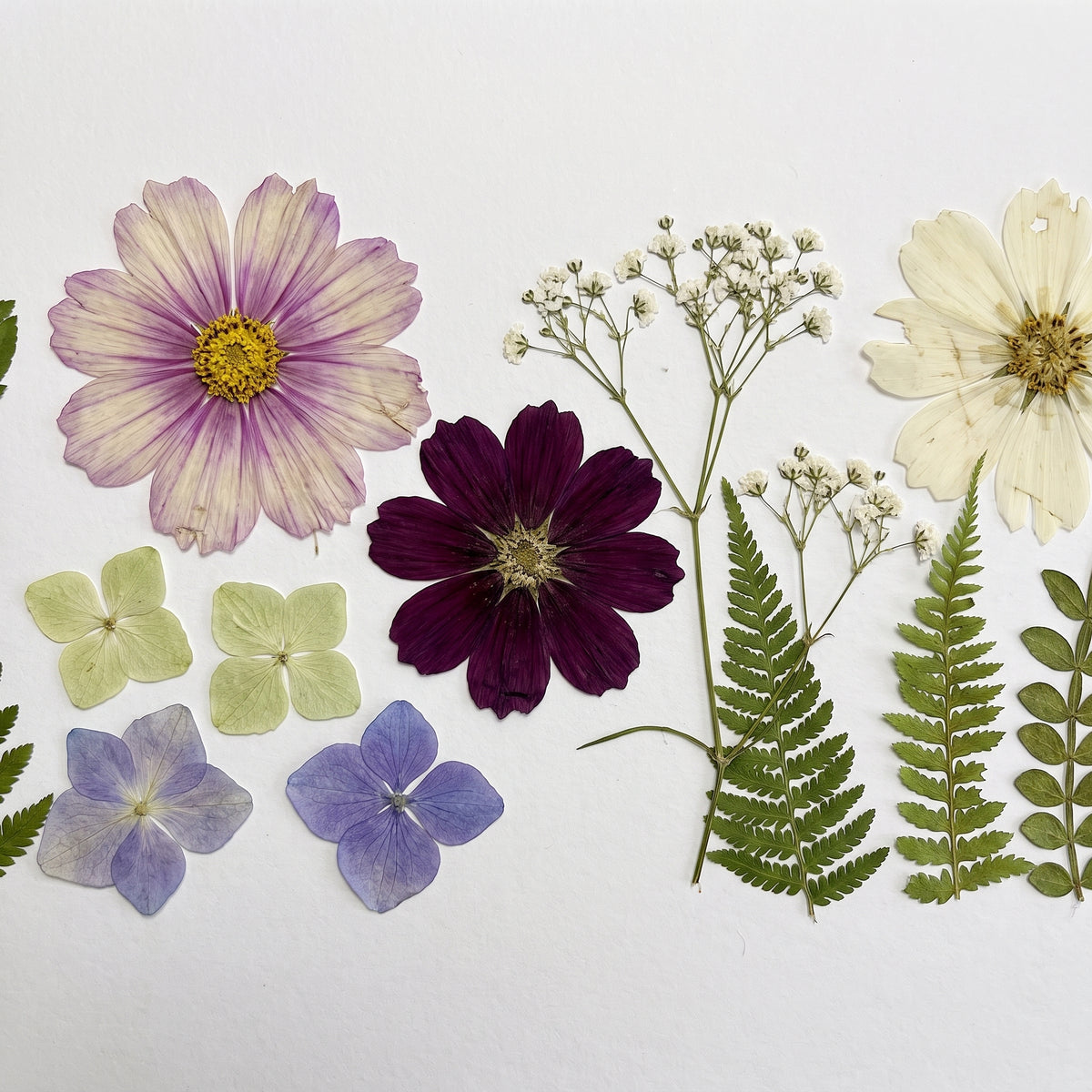 Large Garden Archive
