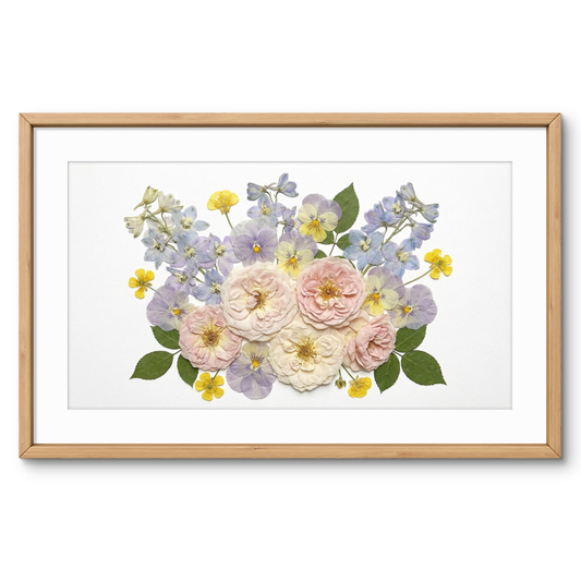 Blush Meadow Harmony